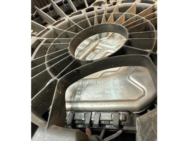 Вентилятор радиатора     3136613435, 3136613435    Mercedes-Benz C AMG W205 