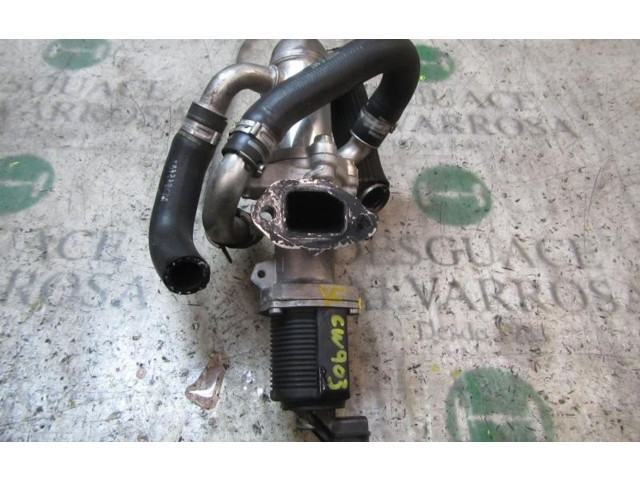 Клапан EGR 55204941    Fiat Doblo