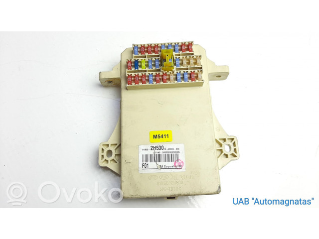   Pojistková skříňka 919502H530, M5411   Hyundai i30 2009