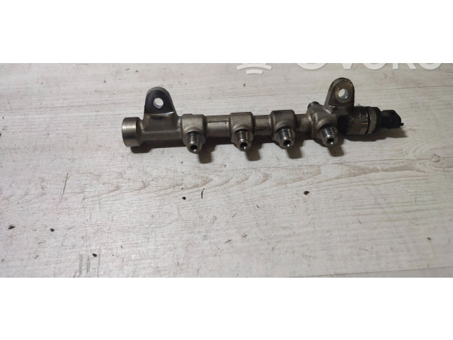 Vstřikovací lišta 55234039, 0445214254   Jeep Cherokee     