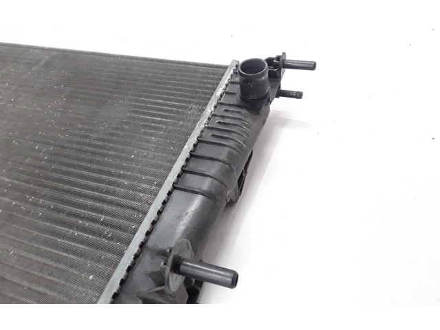 Блок предохранителей  214100014R   Renault Megane III    