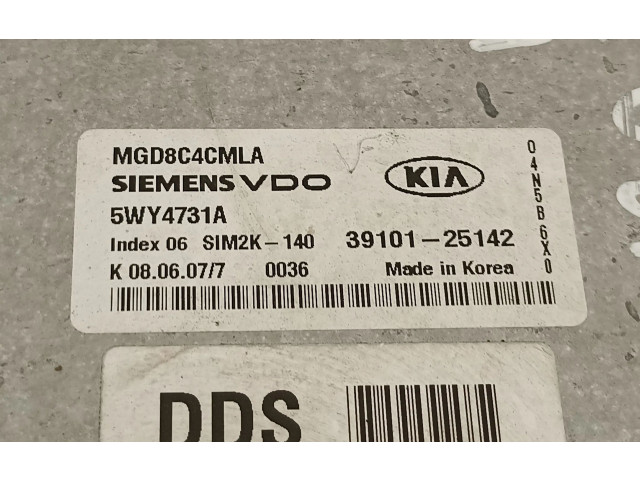 Řídící jednotka 3910125142   KIA Optima 2008