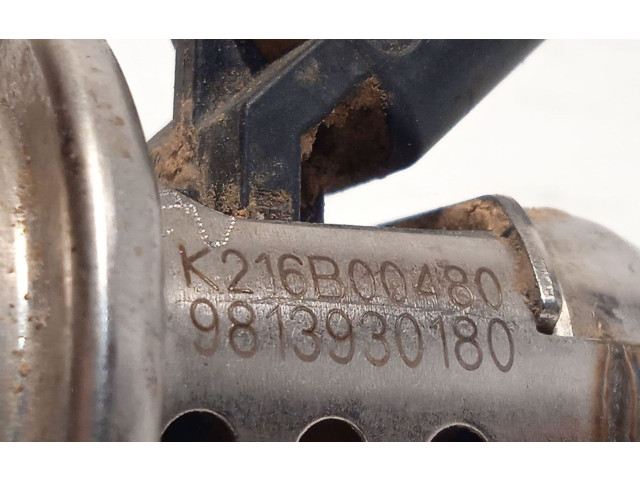Форсунка 9813930180    Peugeot Rifter  YHZ 