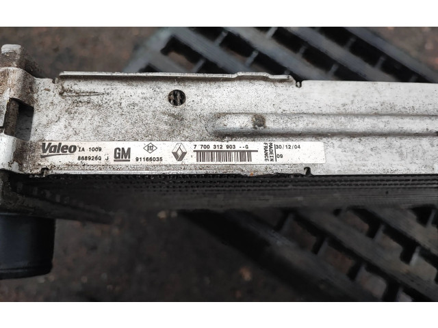 Píst 7700312903, 91166035   Nissan Primastar     