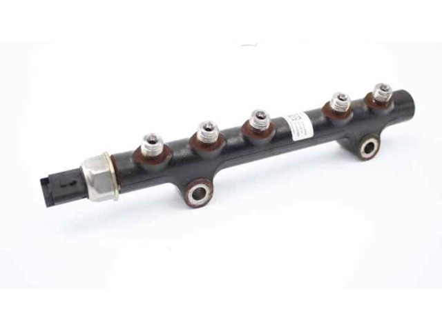 Vstřikovací lišta 9685297580, 9670076780   Peugeot 308     