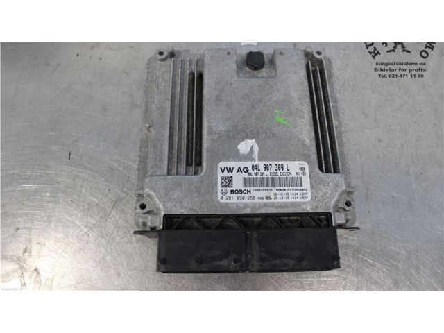 Поршень Блок управления двигателя DETA 0281030258, 04L906026FS  Audi A4 Allroad B9  