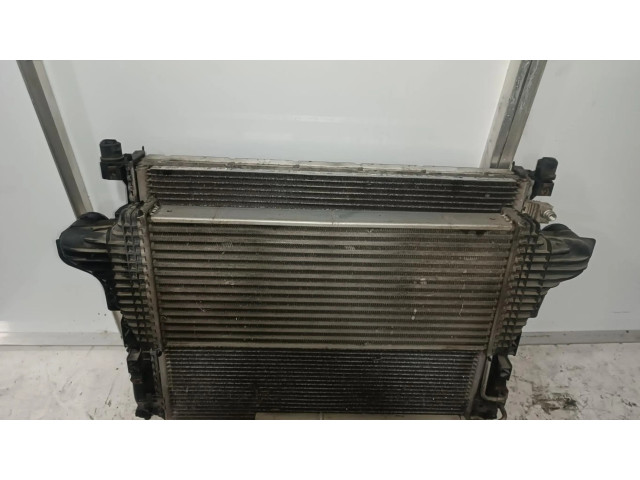 Интеркулер  A251000000004, INTERCOOLER   Mercedes-Benz R W251 3.0