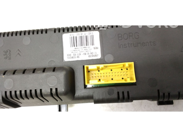 Панель приборов 9662142480, 1025820   Citroen C6       