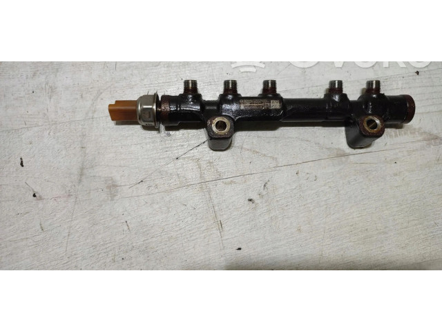 Vstřikovací lišta 9804776780, 9676643880   Peugeot 308     