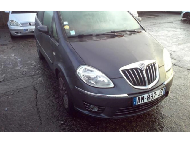 Zpětné zrcátko  Lancia Musa 2010  735360564  