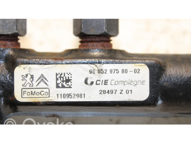 Vstřikovací lišta 9685297580, 9670076780   Ford Focus  pro naftový motor 1.6  