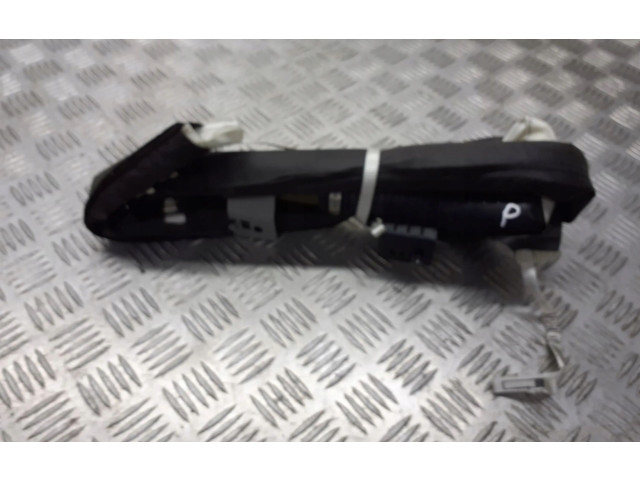 Надувная подушка для крыши     8200105860    Renault Megane II 