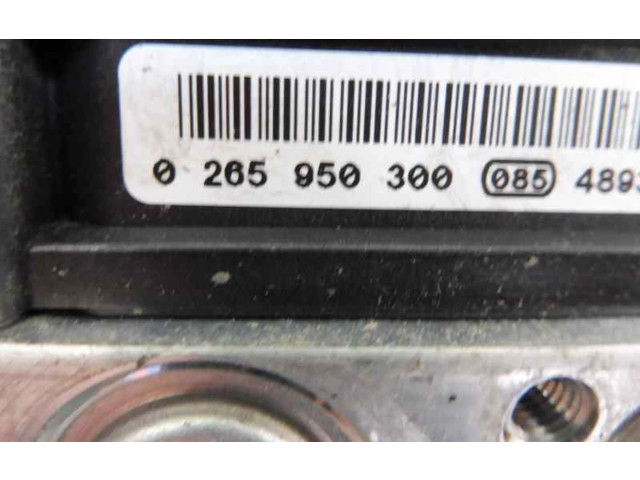 Jednotka ABS 8200344607, 0265950300   Renault Scenic RX 2005