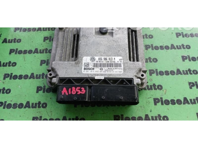 Řídící jednotka 0281013442, 03G906013M   Skoda Fabia Mk2 (5J) 2007