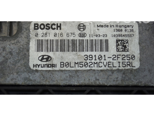 Řídící jednotka 391012F250   Hyundai ix35 2010