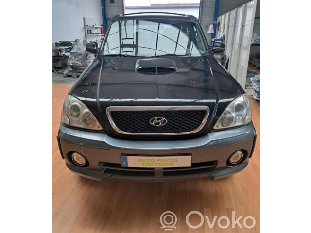 Zpětné zrcátko pravé Hyundai Terracan 2004  87640H1011  