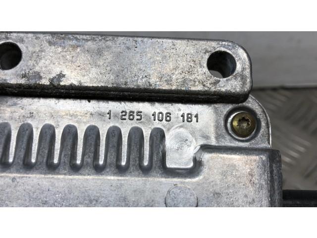 Блок управления двигателя 0281010633, 820019842   Renault Trafic II (X83)