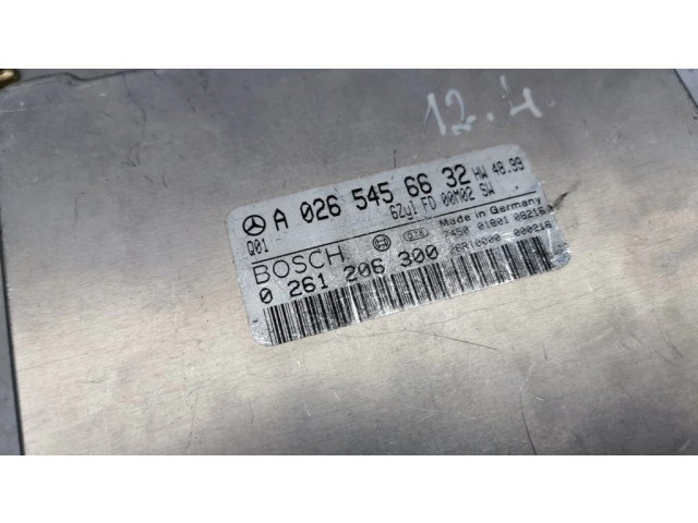 Řídící jednotka A0265456632, 0261206300   Mercedes-Benz ML W163 2003