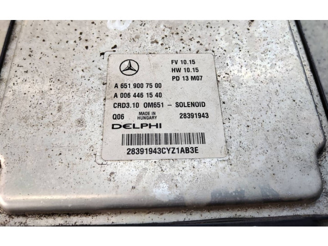 Řídící jednotka A6519007500   Mercedes-Benz CLS C218 X218 2013