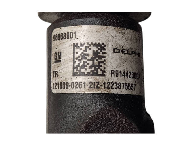 Vstřikovací lišta 96868901, R9144Z300A   Opel Antara    A22DM 