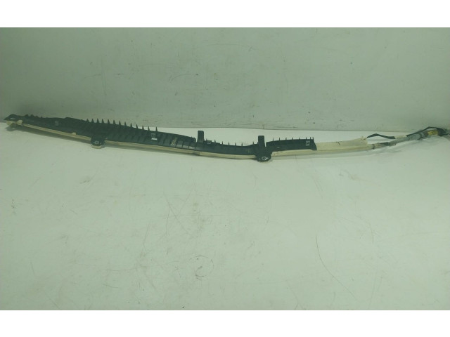 Подушка безопасности двери A2198600105, 6023718014   Mercedes-Benz CLS AMG C219