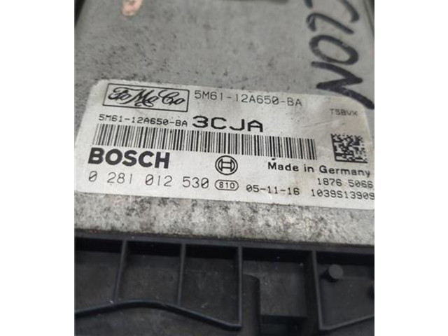 Блок управления 0281012530, 0281012530   Ford Fusion