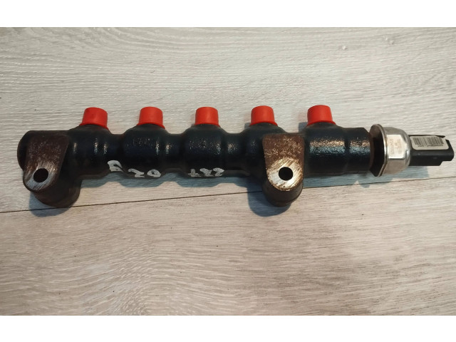 Vstřikovací lišta 9654592680, 08136074972   Peugeot 307     