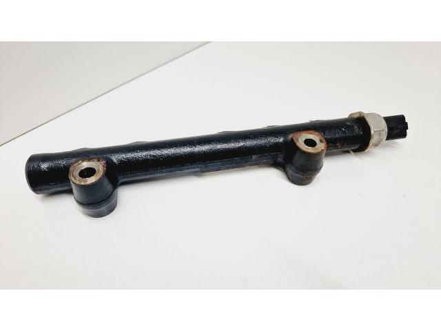 Vstřikovací lišta 9685297580, 142460311   Peugeot 2008 I  pro naftový motor 1.6  