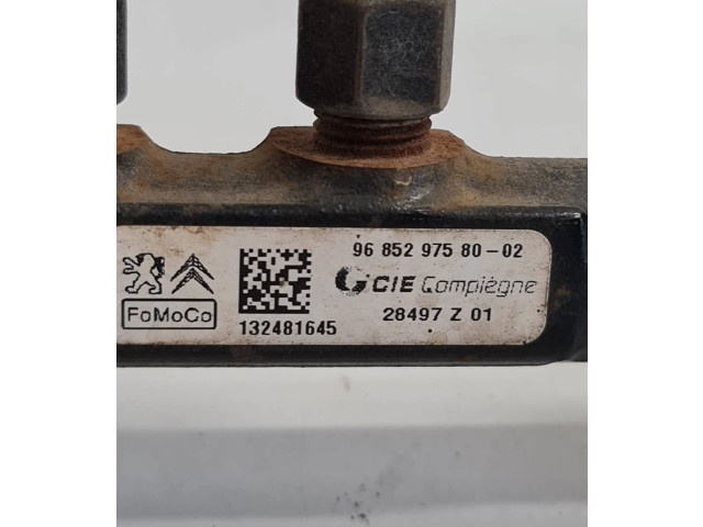 Vstřikovací lišta 9685297580, 132481645   Volvo V40 Cross country     