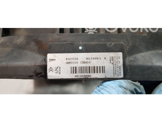 Zpětné zrcátko  Citroen C-Elysée 2018  9812028580  