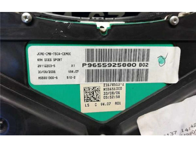 Přístrojová deska  Peugeot 307 2006 P9655925880, P9655925880  