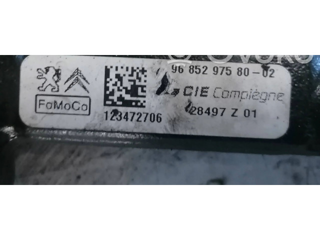 Vstřikovací lišta 9685297580, 123472706   Mazda 5     