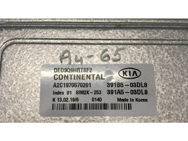 Блок управления двигателя 391B503DL8, 391A503DL8   KIA Niro