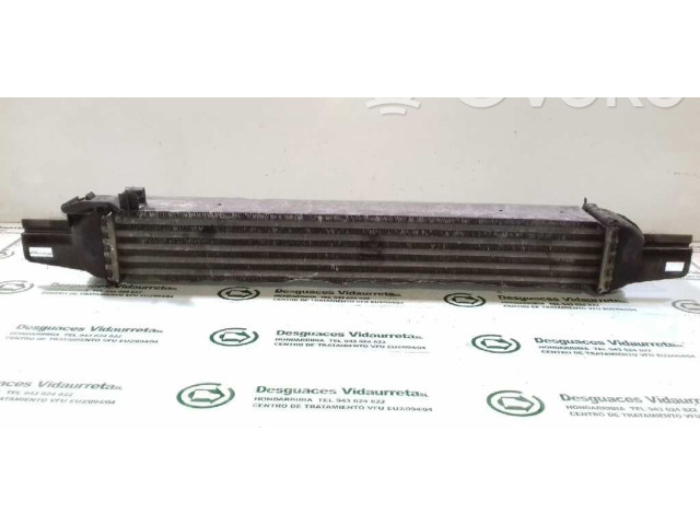 Интеркулер  51790623, L8119001   Peugeot Bipper 