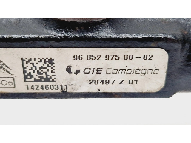 Vstřikovací lišta 9685297580, 142460311   Peugeot 2008 I  pro naftový motor 1.6  