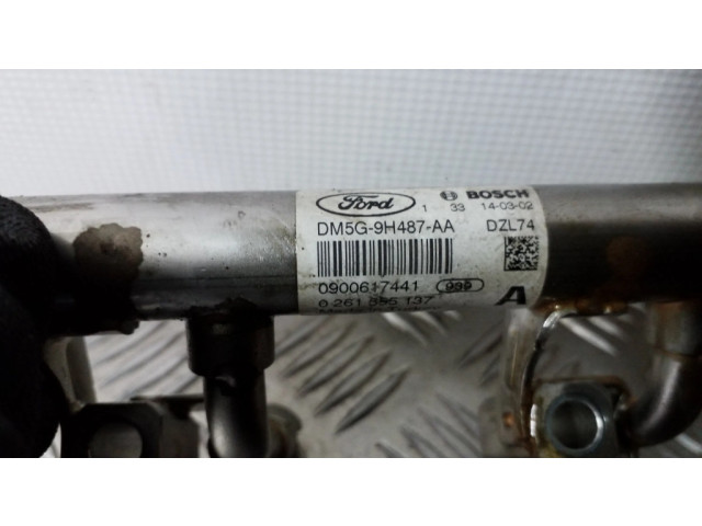 Vstřikovací lišta DM5G9H487AA, 0261555137   Ford Focus  pro benzínový motor 1.0  