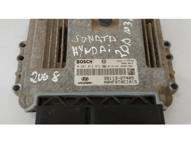 Řídící jednotka 0281012973, 39113-27405   Hyundai Sonata 2008