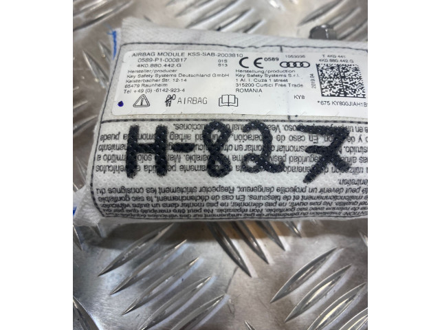 Подушка безопасности в сиденье 4k0880442G   Audi e-tron