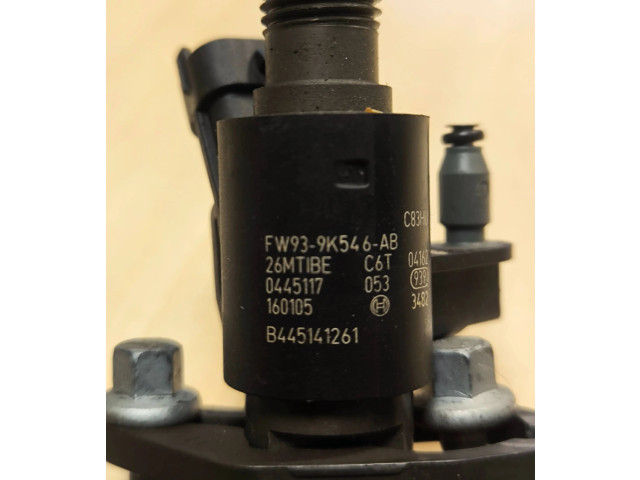 Vstřikovací lišta FW939K546AB, B445141261   Land Rover Range Rover Sport L494    306TD 