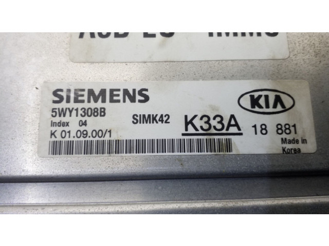 Řídící jednotka 5WY1308B, SIMK42   KIA Rio 2001