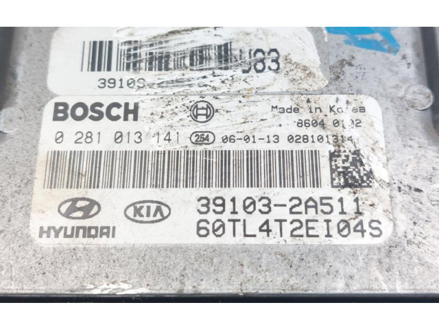 Блок управления двигателя 0281013141, 0281013141   Hyundai Getz