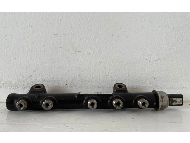 Vstřikovací lišta 968529758002, 8H01   Citroen C3     