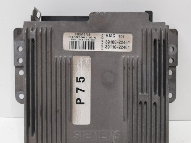 Řídící jednotka 3910022461, 3911022461   Hyundai Accent 1994