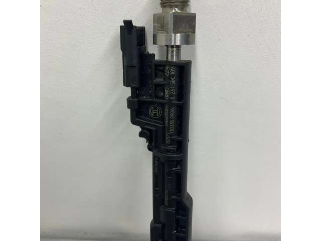 Vstřikovač 7597870   BMW 5 F10 F11  pro benzínový motor 3.0  