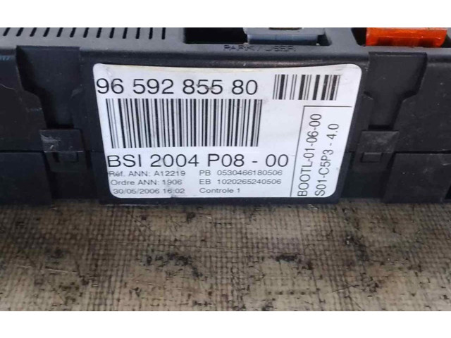   Pojistková skříňka 9659285580   Peugeot 207 