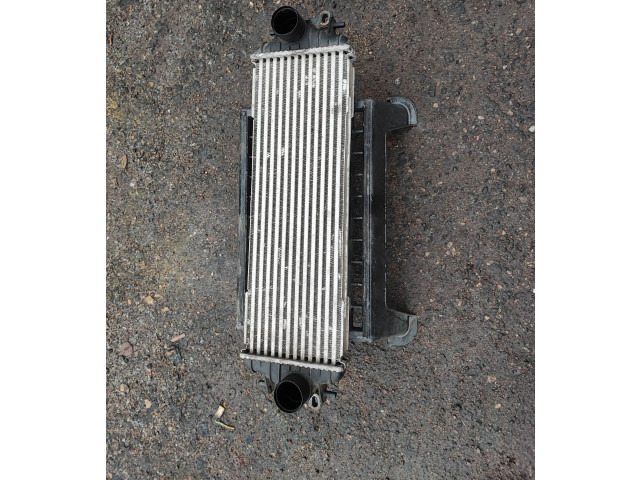 Píst 7700312903, 91166035   Nissan Primastar     