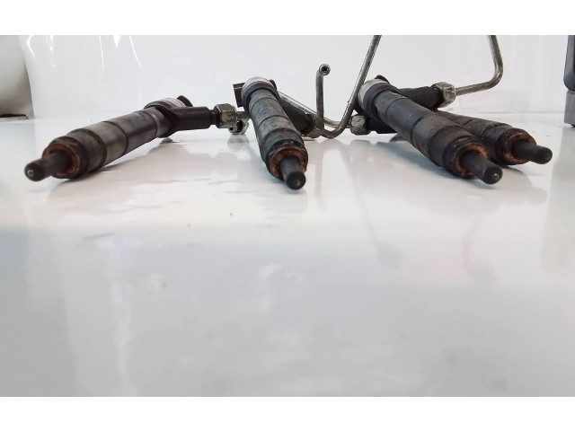 Комплект форсунок 55570012, 5570012    Opel Meriva B   